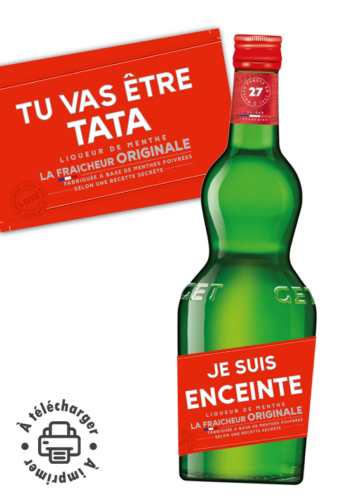 annonce grossesse à télécharger get 27