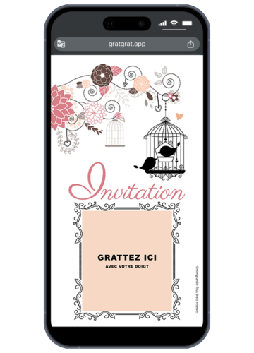 invitation-virtuelle-romantique-cage-oiseaux-rose-arabesques