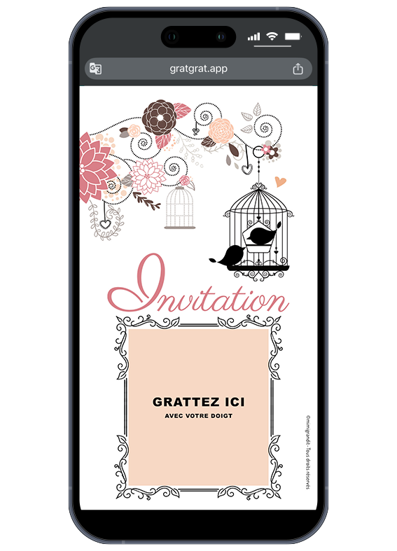 invitation-virtuelle-romantique-cage-oiseaux-rose-arabesques