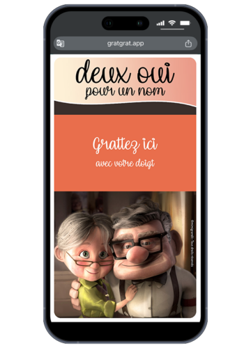 save-the-date-mariage-aventure-vieux-couple-ballons-maison