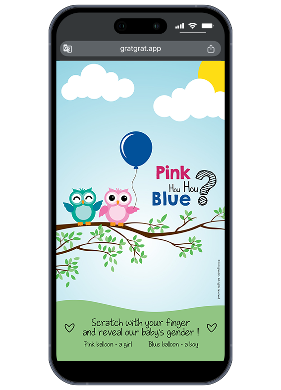reveal-gender-anglais-hiboux-garcon-blue-balloon reveal-gender-anglais-hiboux-garcon-blue-balloon
