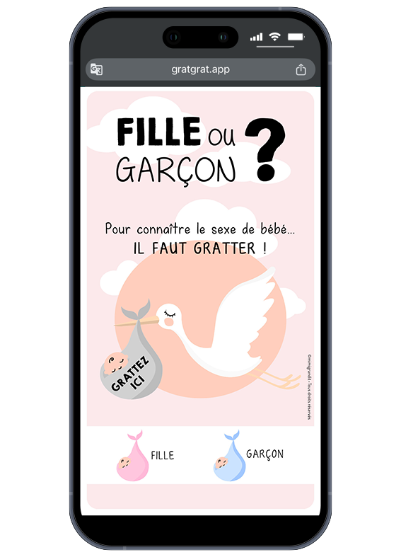 carte-annonce-sexe-bebe-numerique-cigogne-fille-ou-garcon