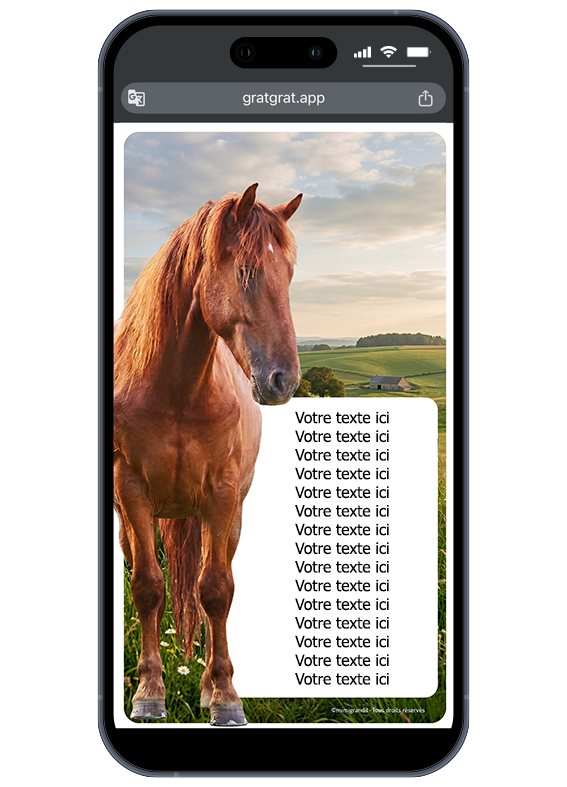 Une carte anniversaire sur téléphone thème cheval à personnaliser et envoyer par SMS. Invitation anniversaire cheval digitale à gratter personnalisable sur smartphone